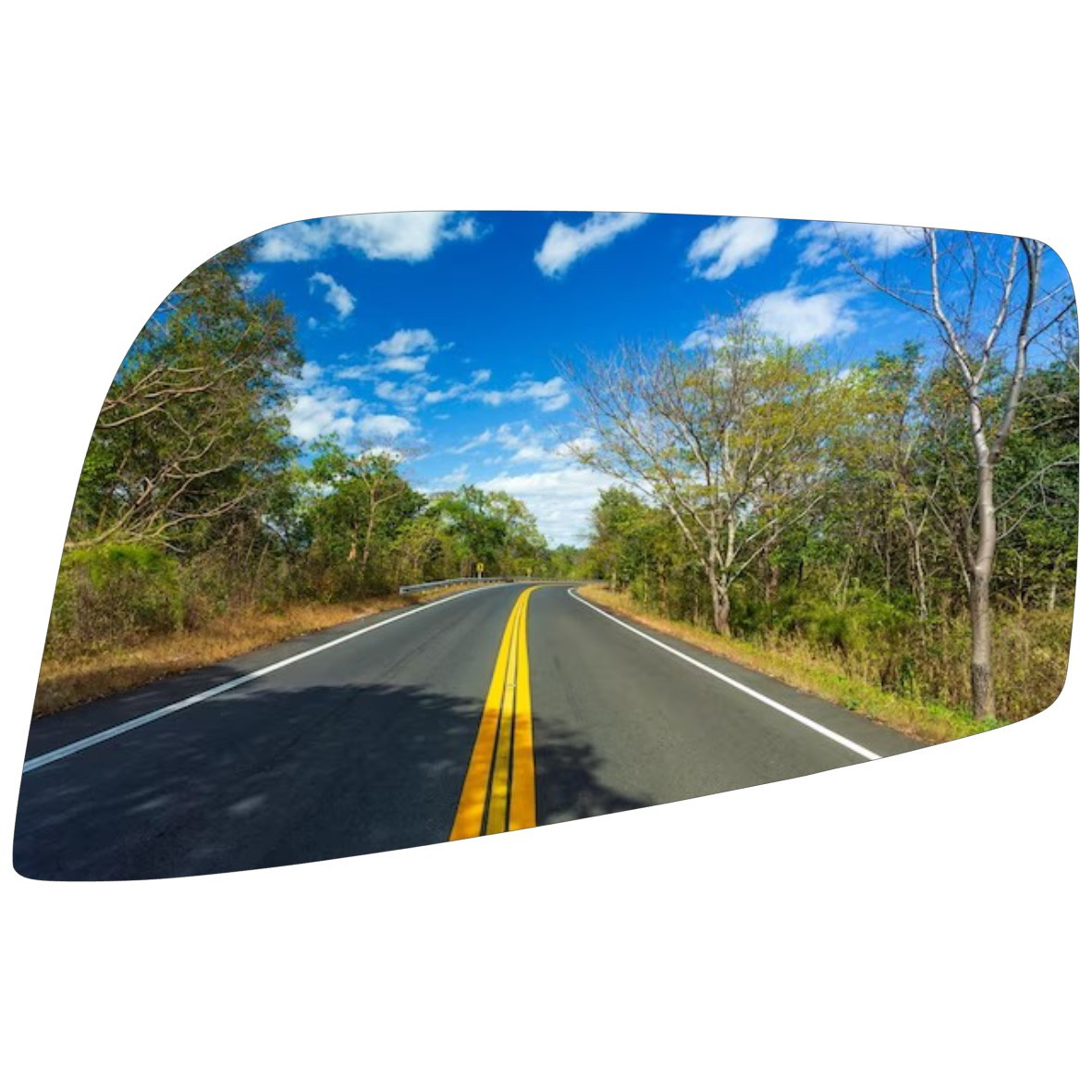 Espejo retrovisor Original Zna Succe 2008-2013 - AutoVidriosRobin