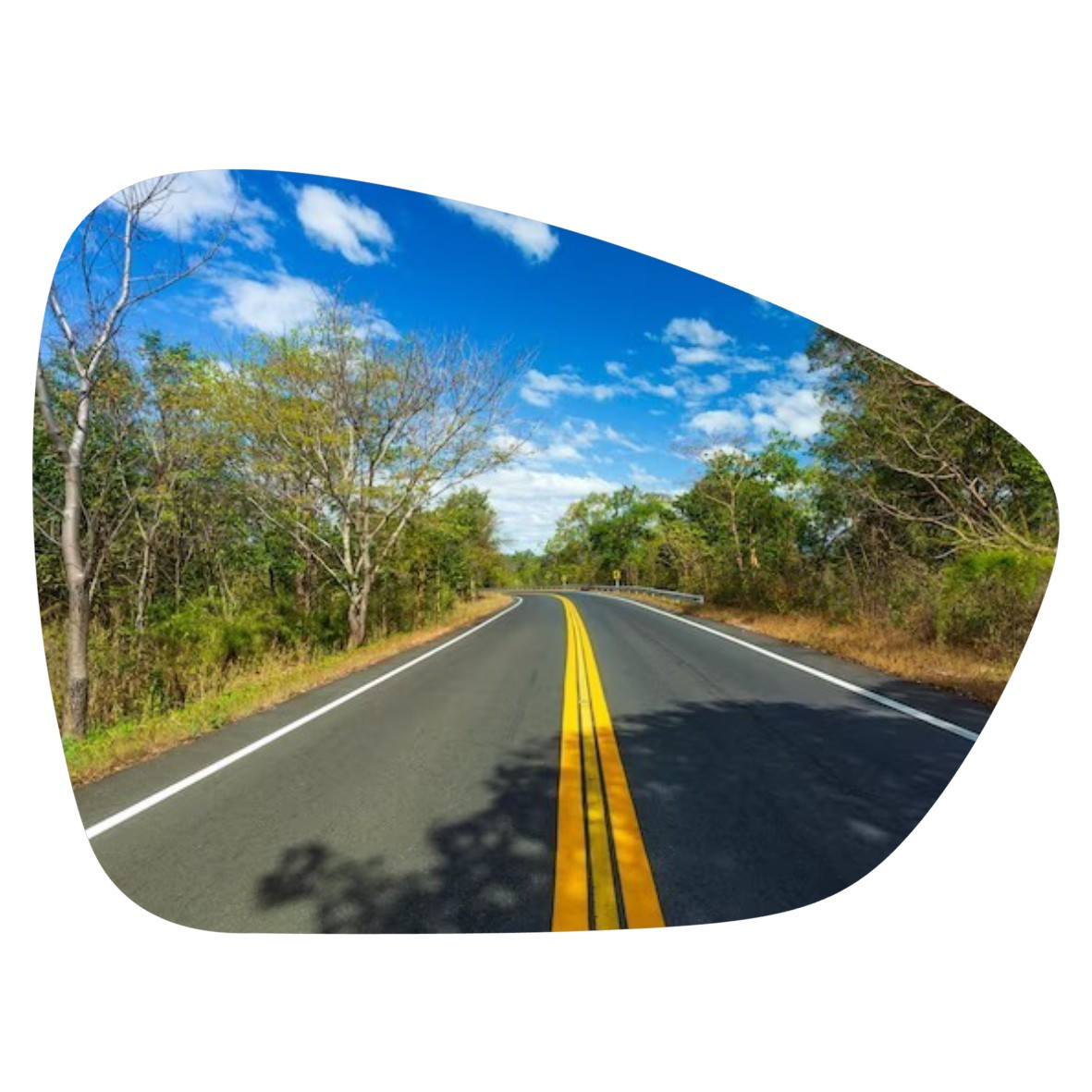 Espejo retrovisor Original Citroen C3 2012-2016 - AutoVidriosRobin