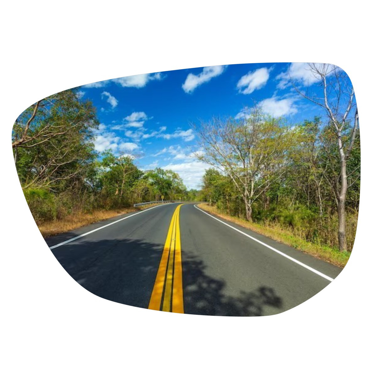 Espejo retrovisor Alternativo Panorámico Citroen C4 Cactus 2016-2022 - AutoVidriosRobin
