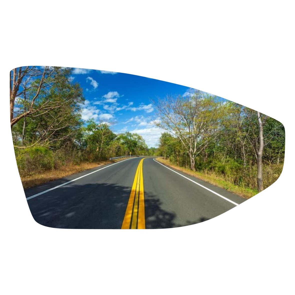 Espejo retrovisor Alternativo Panorámico Audi A8 2017-2022 - AutoVidriosRobin